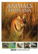 Animals From Asia