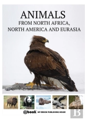 Animals From North Africa, North America And Eurasia