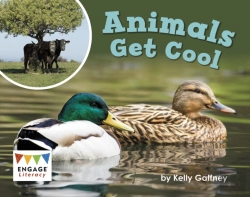 Bertrand.pt - Animals Get Cool