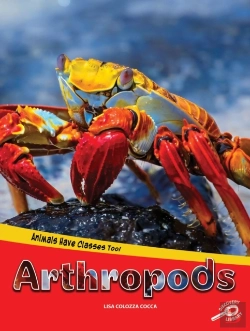 Bertrand.pt - Animals Have Classes Too! Arthropods