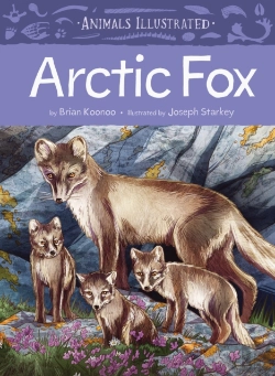 Bertrand.pt - Animals Illustrated: Arctic Fox