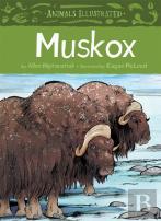 Animals Illustrated: Muskox