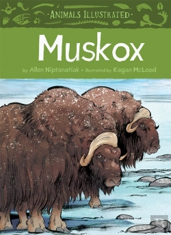 Bertrand.pt - Animals Illustrated: Muskox