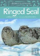 Animals Illustrated: Ringed Seal