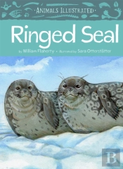 Animals Illustrated: Ringed Seal
