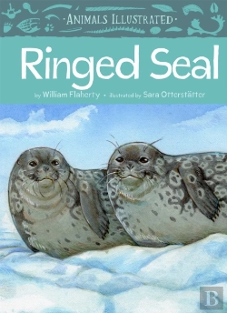 Bertrand.pt - Animals Illustrated: Ringed Seal