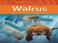 Animals Illustrated: Walrus