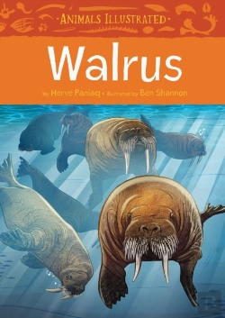 Bertrand.pt - Animals Illustrated: Walrus