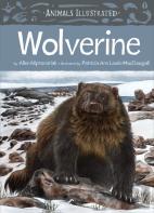 Animals Illustrated: Wolverine