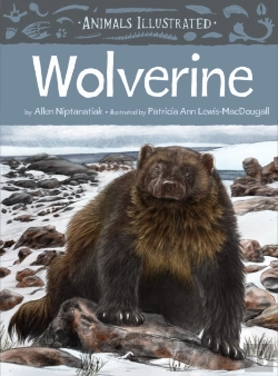 Bertrand.pt - Animals Illustrated: Wolverine