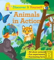 Animals In Action