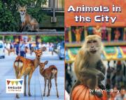 Animals In The City