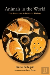 Animals In The World