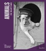 Animals In Wartime