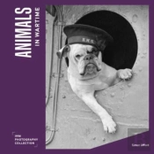 Animals In Wartime