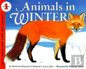 Animals In Winter