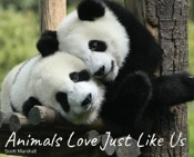 Animals Love Just Like Us