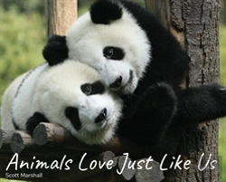 Bertrand.pt - Animals Love Just Like Us