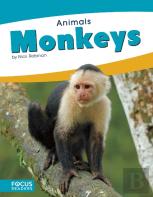 Animals: Monkeys