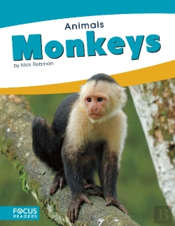 Bertrand.pt - Animals: Monkeys