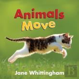 Animals Move