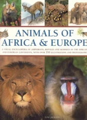 Animals Of Africa And Europe