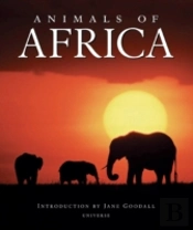 Animals Of Africa