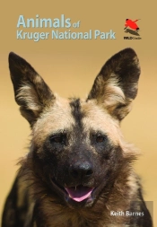Animals Of Kruger National Park