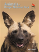 Animals Of Kruger National Park