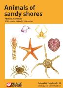 Animals Of Sandy Shores
