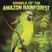 Animals Of The Amazon Rainforest