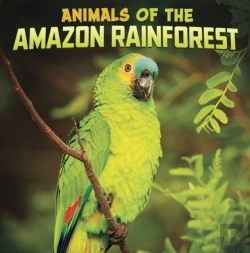Bertrand.pt - Animals Of The Amazon Rainforest