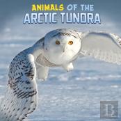 Animals Of The Arctic Tundra
