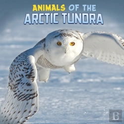 Bertrand.pt - Animals Of The Arctic Tundra
