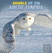 Animals Of The Arctic Tundra