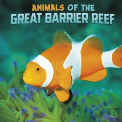 Bertrand.pt - Animals Of The Great Barrier Reef