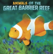 Animals Of The Great Barrier Reef