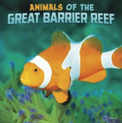 Bertrand.pt - Animals Of The Great Barrier Reef