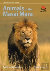 Animals Of The Masai Mara
