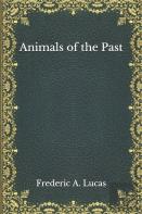 Animals Of The Past