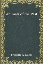 Animals Of The Past