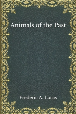 Bertrand.pt - Animals Of The Past