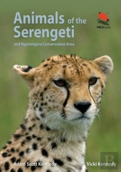 Animals Of The Serengeti