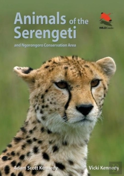 Bertrand.pt - Animals Of The Serengeti