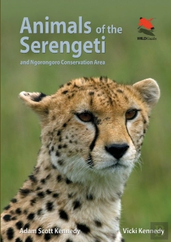 Bertrand.pt - Animals Of The Serengeti