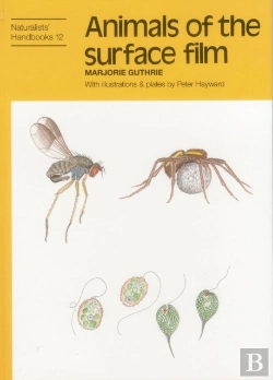Bertrand.pt - Animals Of The Surface Film