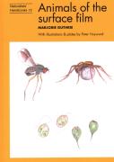 Animals Of The Surface Film