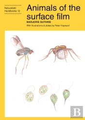 Animals Of The Surface Film