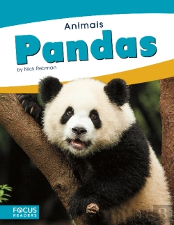 Bertrand.pt - Animals: Pandas