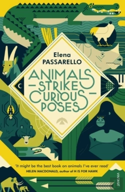 Bertrand.pt - Animals Strike Curious Poses